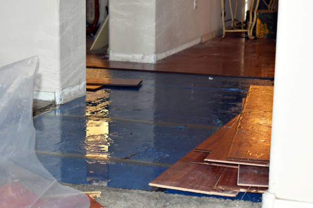 Professional Emergency Water Damage Restoration technician working in East Andover, NH